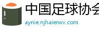 中国足球协会官方网站